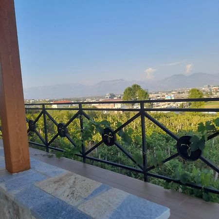 Mucaj Vila Shehi Guesthouse And Winery מראה חיצוני תמונה