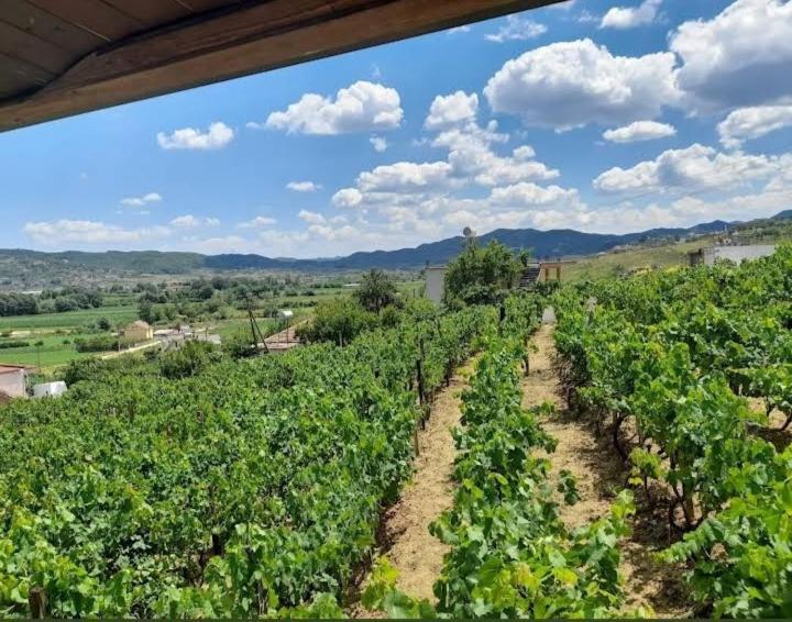 Mucaj Vila Shehi Guesthouse And Winery מראה חיצוני תמונה